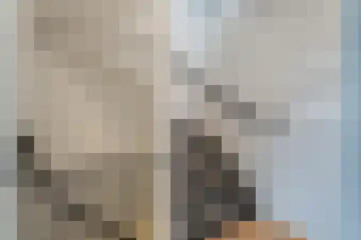 De Koningshof 5 Zwartsluis thumbnail 21