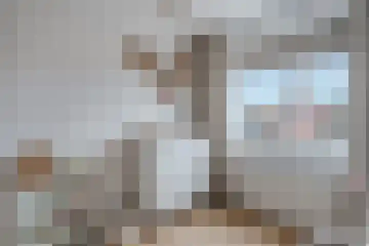 De Koningshof 5 Zwartsluis thumbnail 28