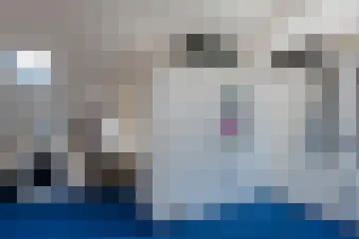 De Koningshof 5 Zwartsluis thumbnail 34