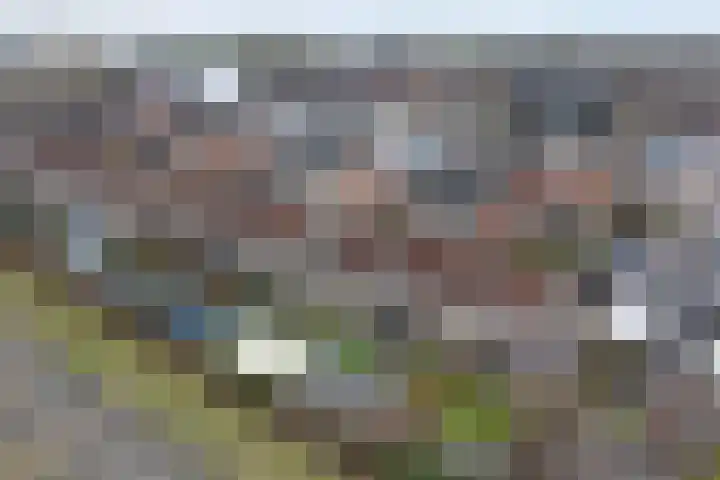 De Koningshof 5 Zwartsluis thumbnail 38