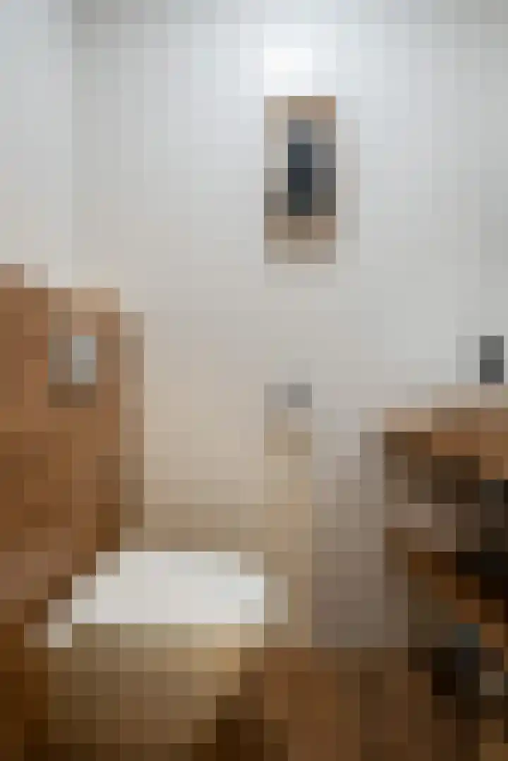 De Koningshof 5 Zwartsluis thumbnail 4