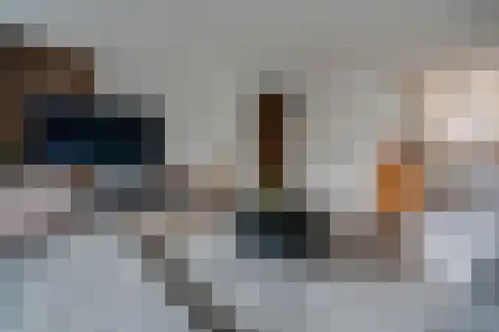 De Koningshof 5 Zwartsluis thumbnail 7