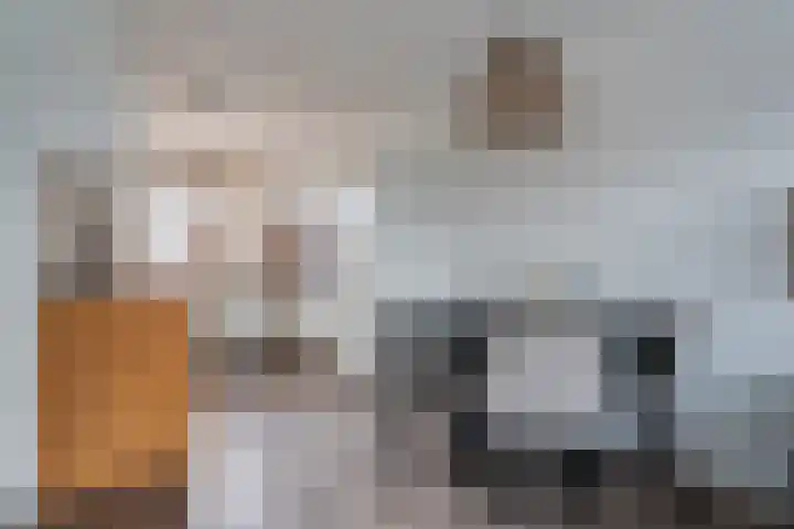 De Koningshof 5 Zwartsluis thumbnail 9