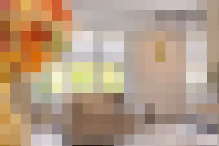 De Koolhof 14 Veldhoven thumbnail 10