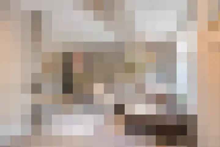 De Koolhof 14 Veldhoven thumbnail 11