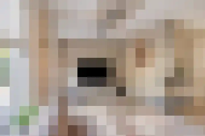 De Koolhof 14 Veldhoven thumbnail 14