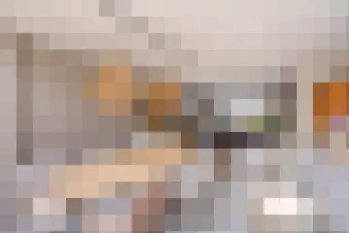 De Koolhof 14 Veldhoven thumbnail 18