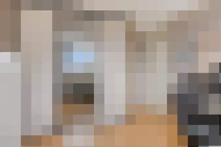 De Koolhof 14 Veldhoven thumbnail 35