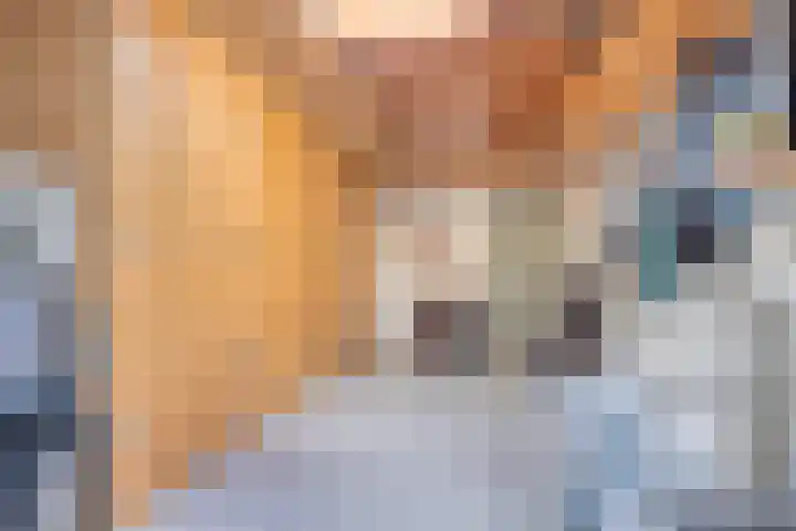 De Koolhof 14 Veldhoven thumbnail 41