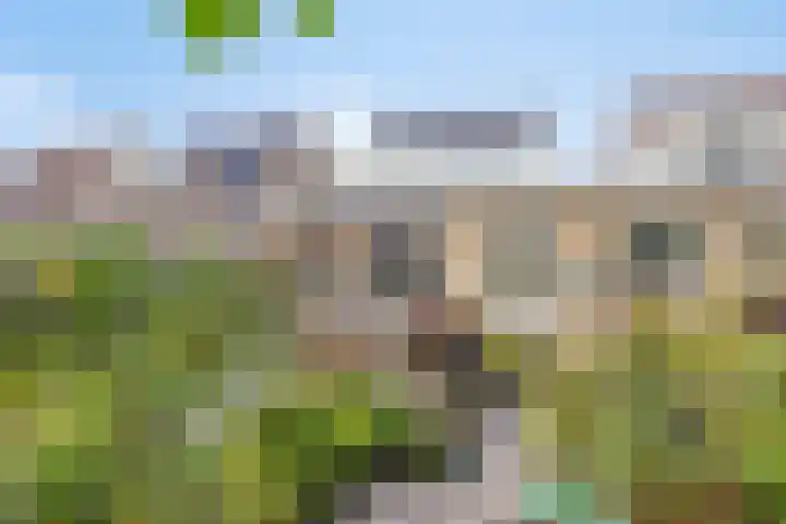 De Koolhof 14 Veldhoven thumbnail 44