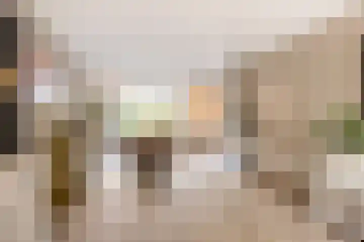 De Koolhof 14 Veldhoven thumbnail 9
