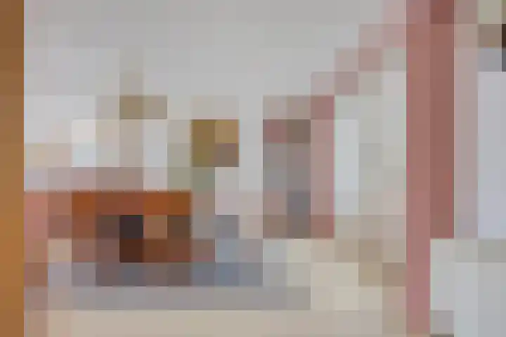 De Koolhof 3 Veldhoven thumbnail 14