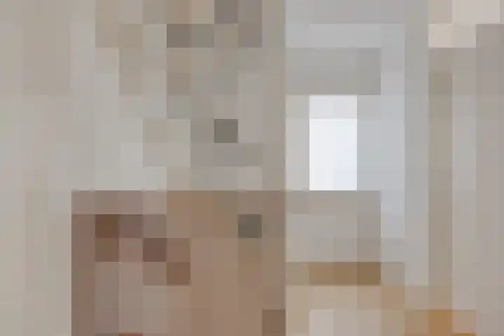 De Koolhof 3 Veldhoven thumbnail 17