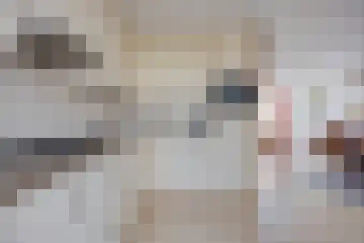 De Koolhof 3 Veldhoven thumbnail 4