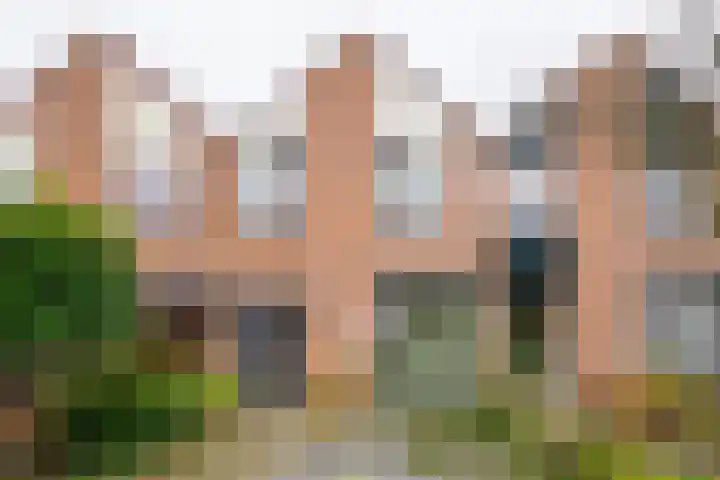 De Koolmees 37 dans Vriezenveen