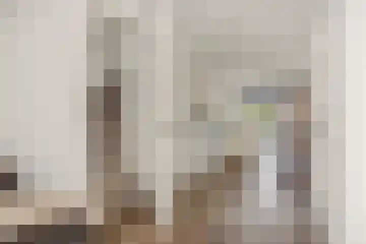 De Koome 4 Liessel thumbnail 14