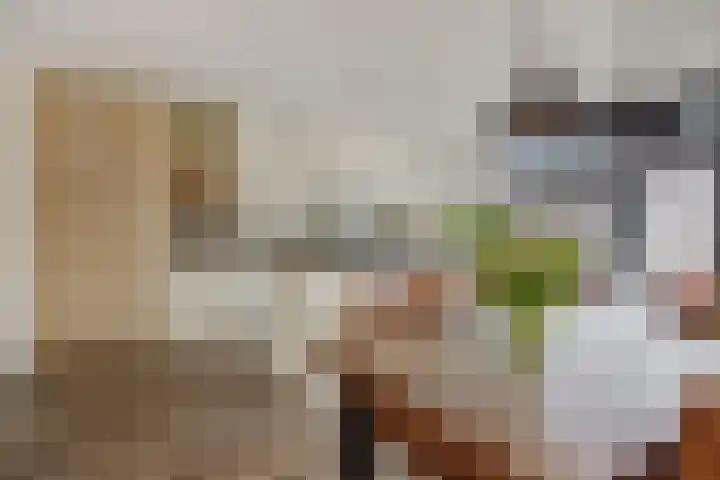 De Koome 4 Liessel thumbnail 18