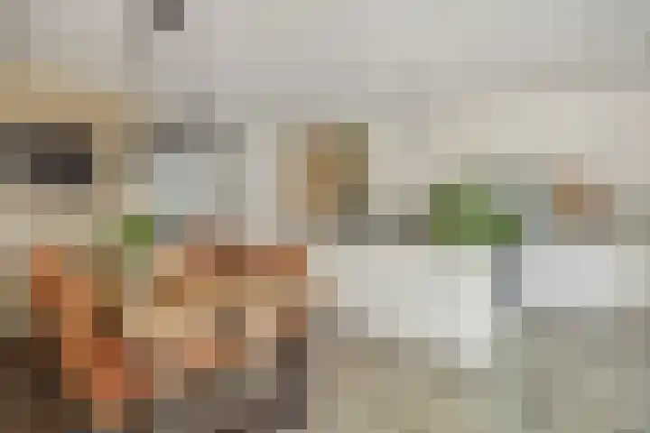 De Koome 4 Liessel thumbnail 20