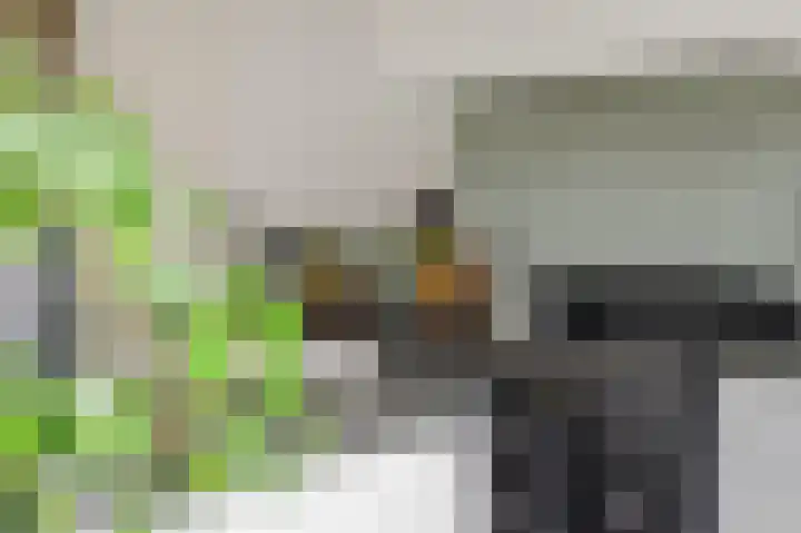 De Koome 4 Liessel thumbnail 22