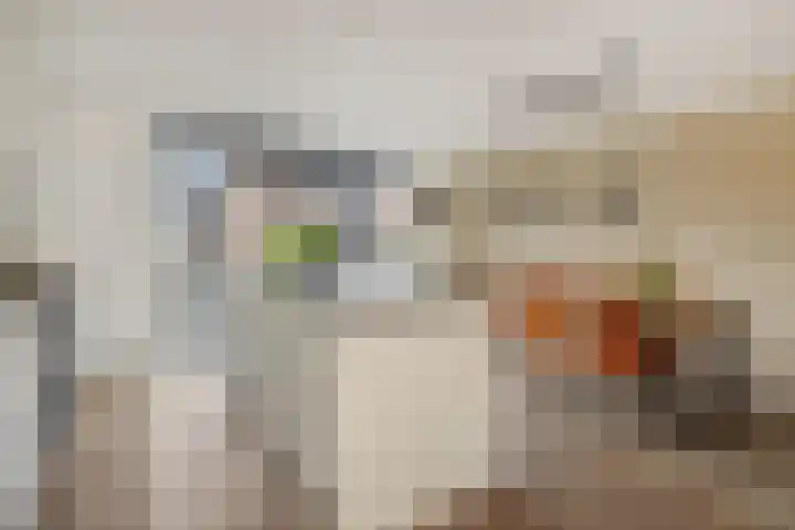 De Koome 4 Liessel foto 3