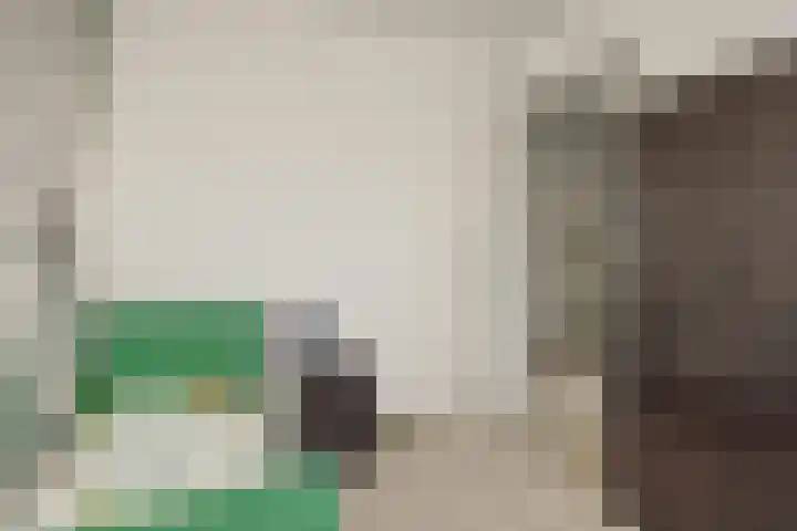 De Koome 4 Liessel thumbnail 30