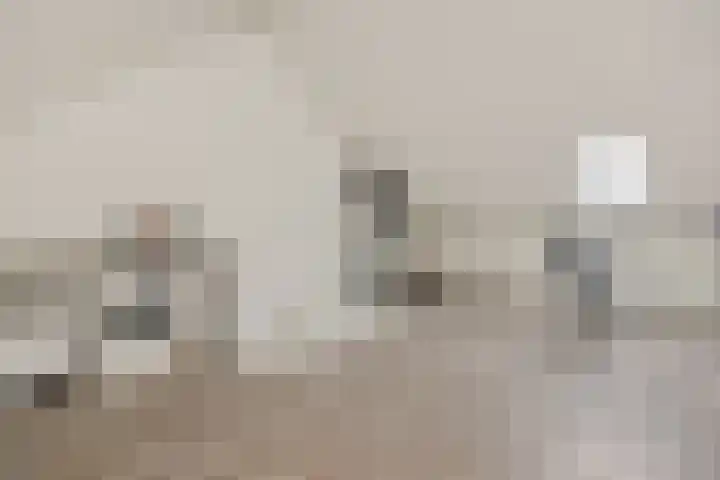 De Koome 4 Liessel thumbnail 36