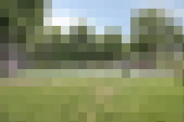 De Koop 23 Hoogland thumbnail 43