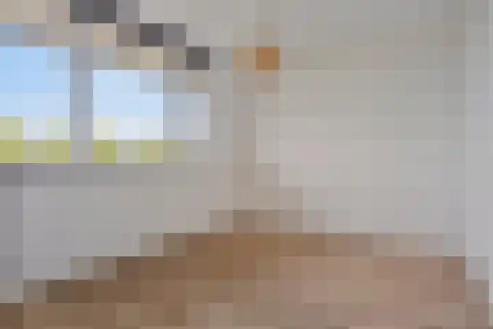 de Koppele 127 Eindhoven thumbnail 16