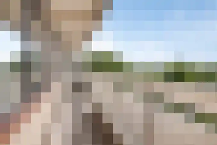 de Koppele 127 Eindhoven thumbnail 24