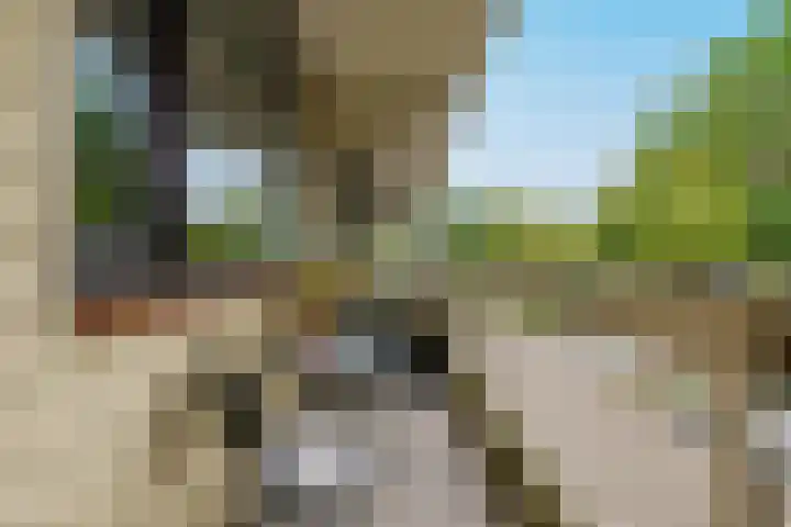 de Koppele 223 Eindhoven thumbnail 11
