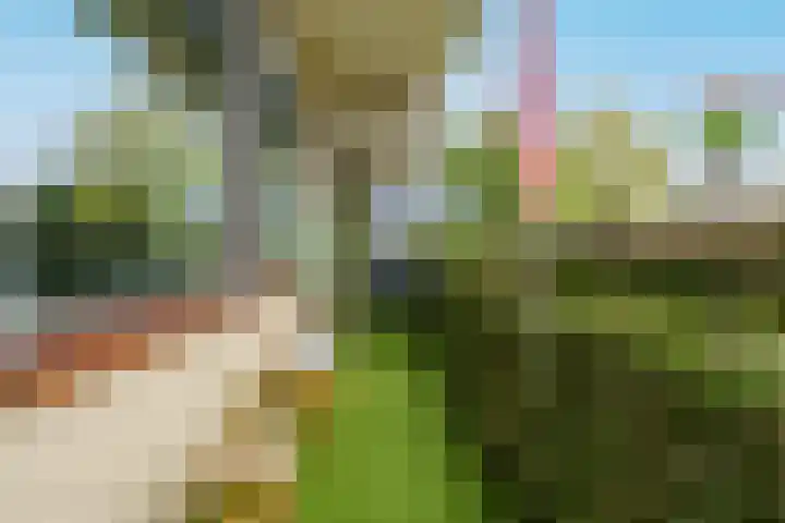 de Koppele 223 Eindhoven thumbnail 33