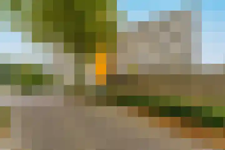 de Koppele 223 Eindhoven thumbnail 8