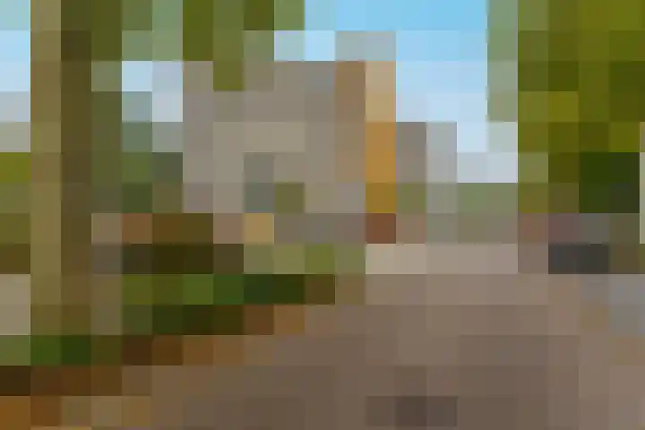 de Koppele 223 Eindhoven thumbnail 9