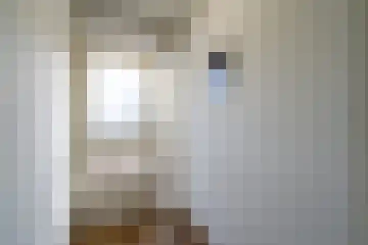 de Koppele 245 Eindhoven thumbnail 10