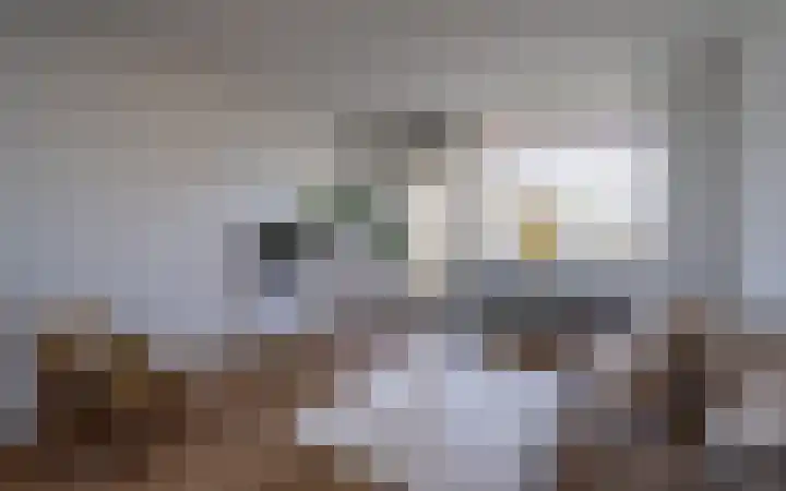 de Koppele 245 Eindhoven thumbnail 17