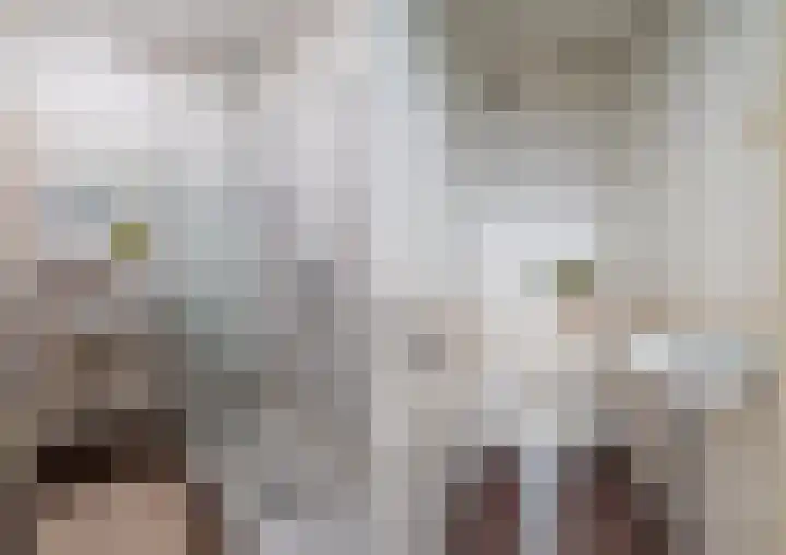 de Koppele 245 Eindhoven thumbnail 24