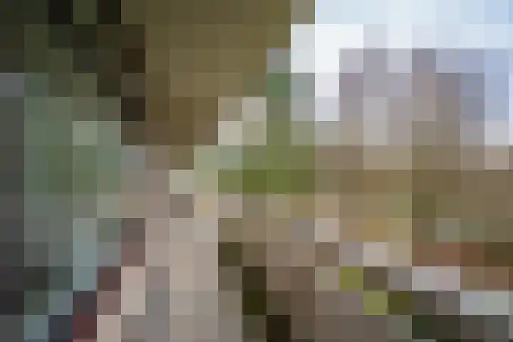de Koppele 245 Eindhoven thumbnail 30