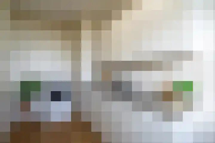 de Koppele 245 Eindhoven thumbnail 4