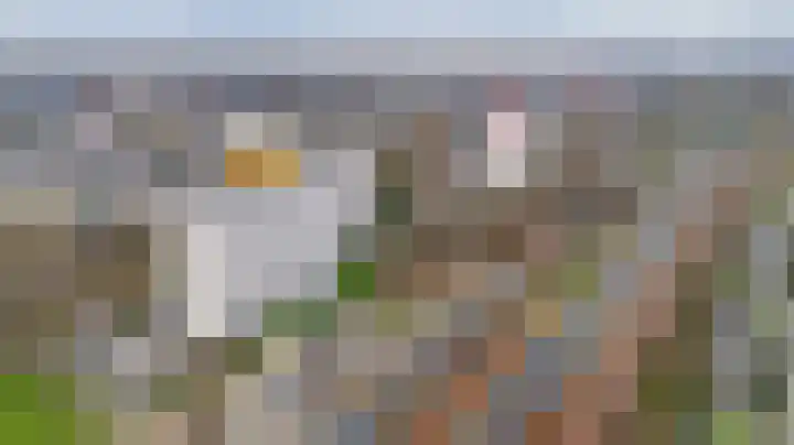 de Koppele 245 Eindhoven thumbnail 41