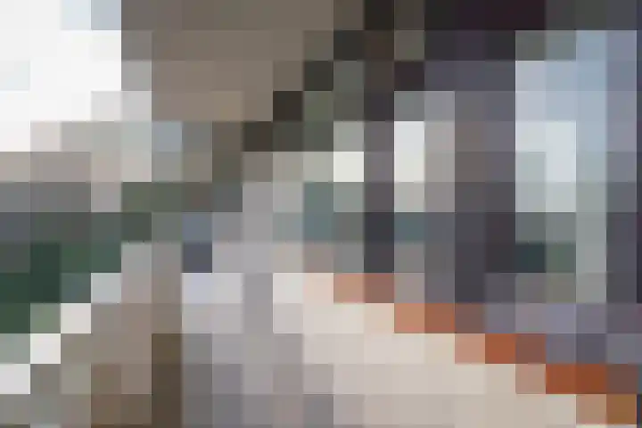de Koppele 245 Eindhoven thumbnail 9