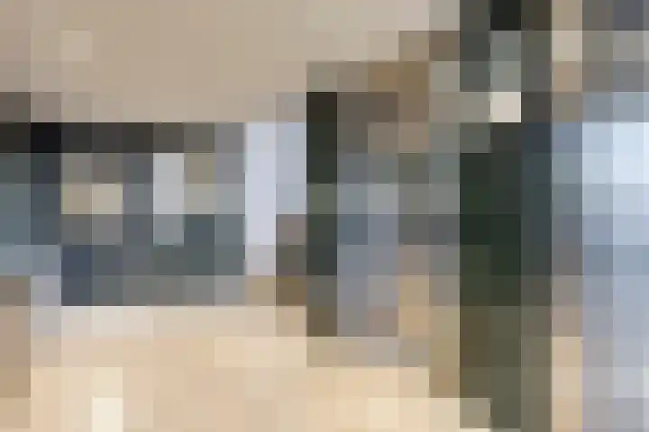 de Koppele 253 Eindhoven thumbnail 11