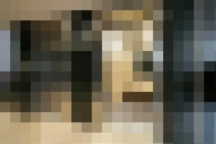 de Koppele 253 Eindhoven thumbnail 12