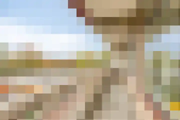 de Koppele 253 Eindhoven thumbnail 31