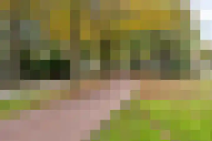 de Koppele 253 Eindhoven thumbnail 37