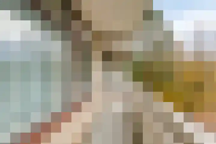 de Koppele 253 Eindhoven thumbnail 5