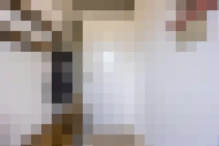 de Koppele 257 Eindhoven thumbnail 11