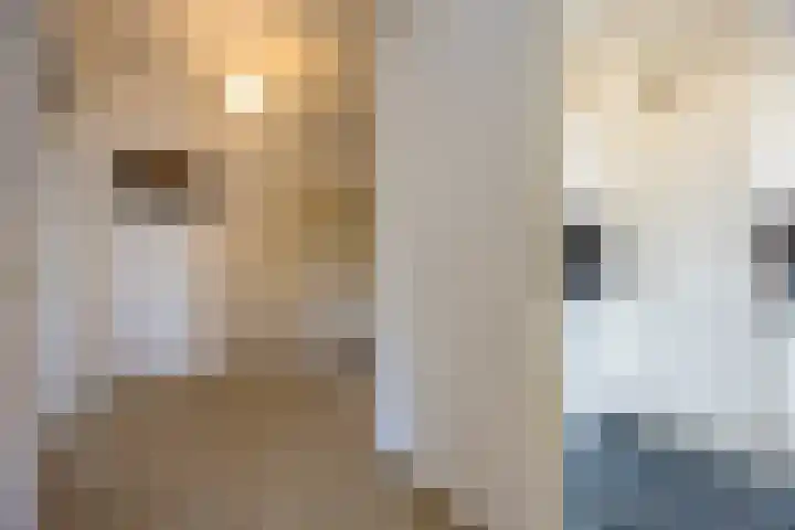 de Koppele 257 Eindhoven thumbnail 14
