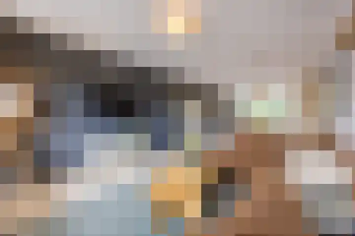 de Koppele 257 Eindhoven thumbnail 17