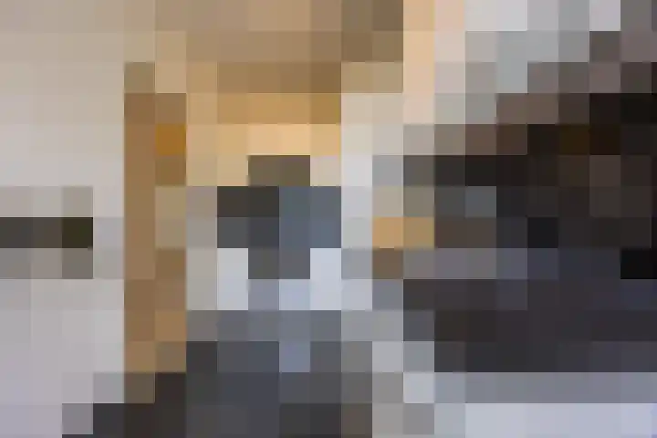 de Koppele 257 Eindhoven thumbnail 21