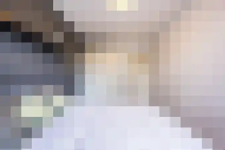 de Koppele 257 Eindhoven thumbnail 27
